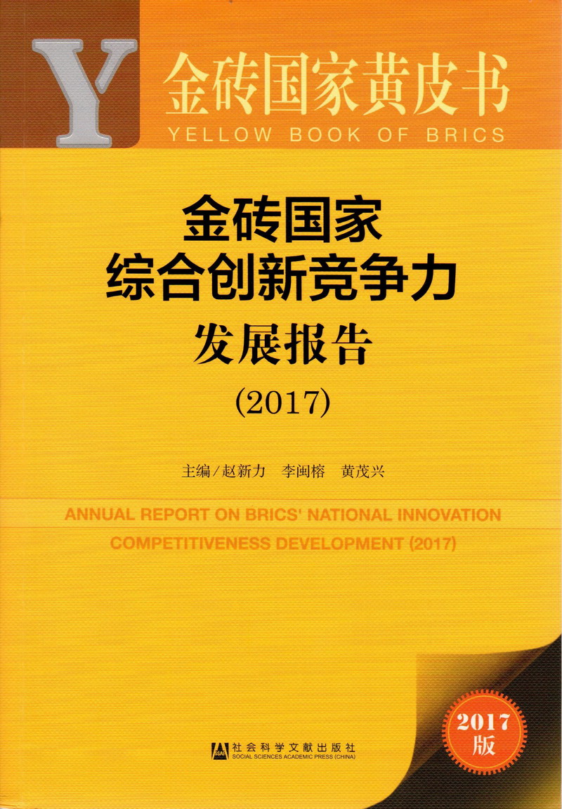 鸡巴插进我的逼里好爽金砖国家综合创新竞争力发展报告（2017）